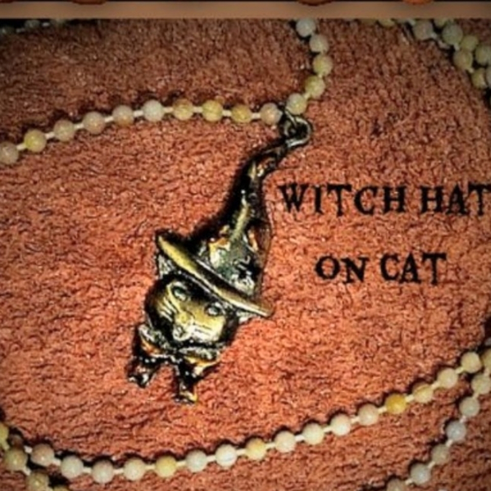 Witch Hat on Scary Cat